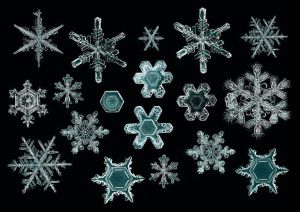 Płatki śniegu