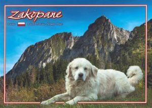 Zakopane