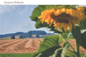 Szwajcaria Żerkowska