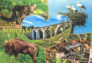 Stańczyki