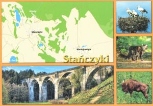 Stańczyki