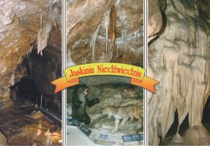 Jaskinia Niedźwiedzia