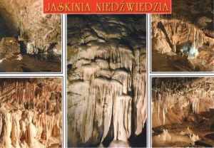 Jaskinia Niedźwiedzia