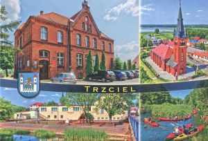 Trzciel