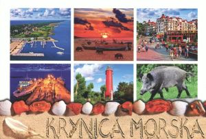 Krynica Morska