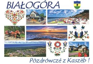 Białogóra