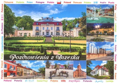 Brzesko