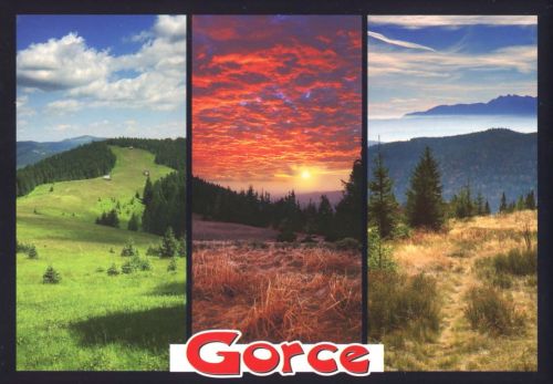 Gorce