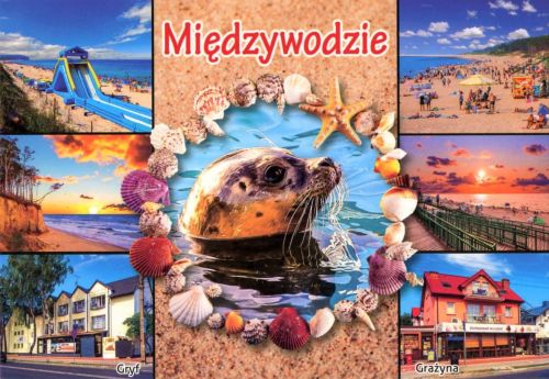 Międzywodzie