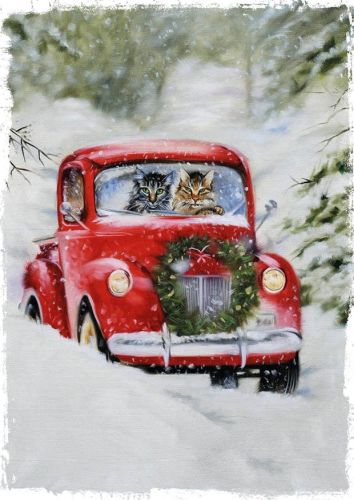 Driving home for Christmas