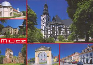 Milicz