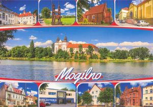 Mogilno