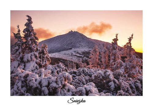 Śnieżka, Karkonosze