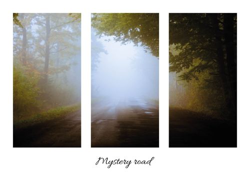Mystery road