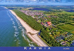 Karwia