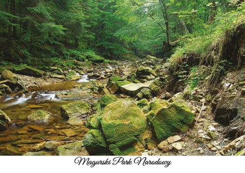 Magurski Park Narodowy