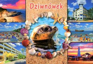 Dziwnówek