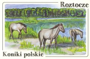 Roztocze