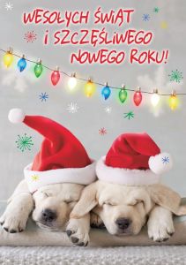 Karnet 3D - Boże Narodzenie