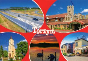 Torzym