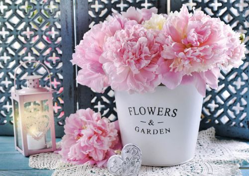 Bouquet of pink peonies