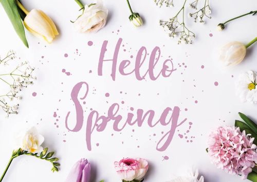 Hello Spring