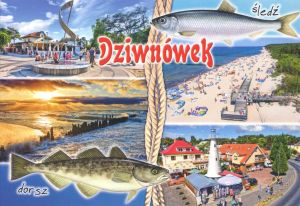 Dziwnówek