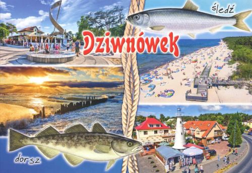 Dziwnówek