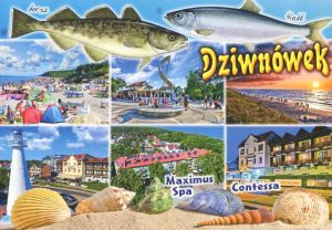 Dziwnówek