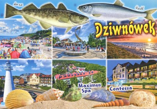 Dziwnówek