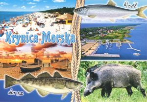 Krynica Morska