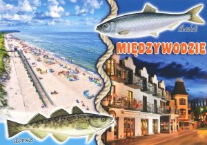 Międzywodzie