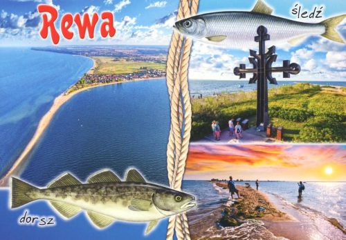 Rewa