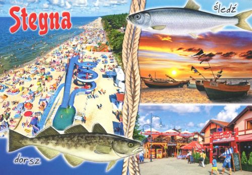 Stegna