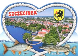 Szczecinek