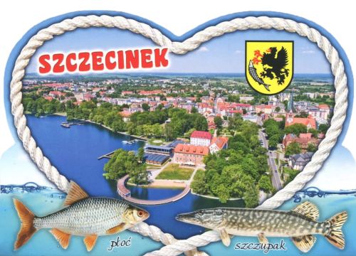 Szczecinek