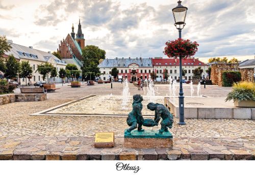 Miasta Polski: Olkusz
