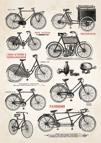 All about bicycles