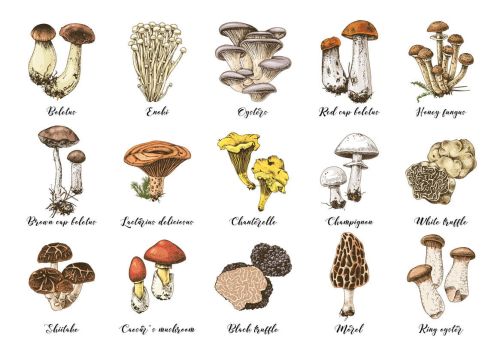 29 Pocztówka HoP 1401÷1450 - 148x10517.jpg