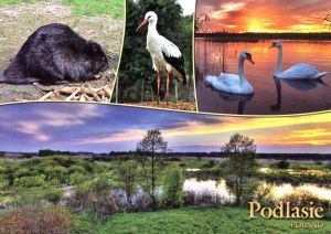 Podlasie