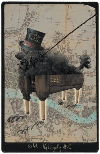 London Poodle
