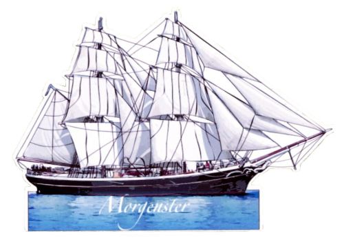 Magnes: Morgenster