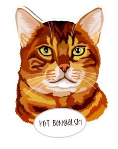 Magnes: Kot bengalski