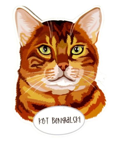 Magnes: Kot bengalski
