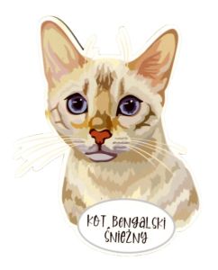 Magnes: Kot bengalski śnieżny