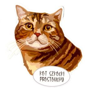 Magnes: Kot szkocki prostouchy