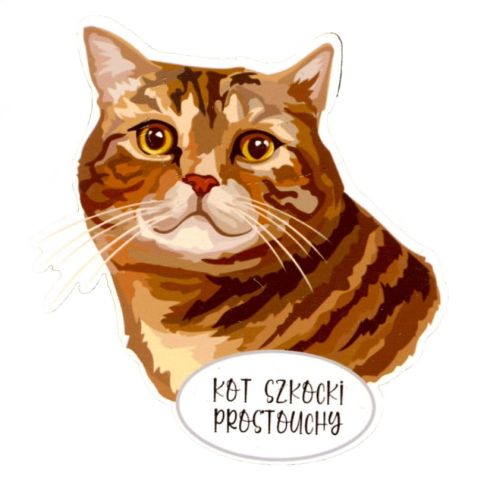 Magnes: Kot szkocki prostouchy