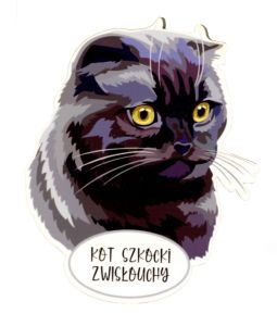 Magnes: Kot szkocki zwisłouchy