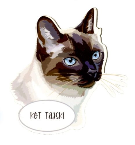 Magnes: Kot tajski