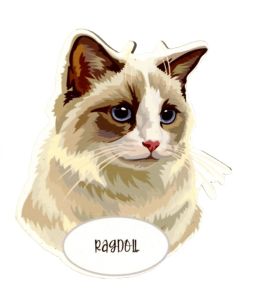 Magnes: Ragdoll